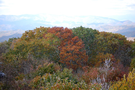 Wayah Bald in Macon County, N.C. in early fall.