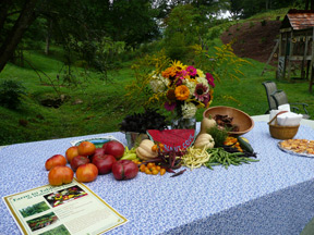 Heirloom tomatoes and other heirloom vegetables adorn a table at Walnut Covenote the bite-size tomato pies on the right.