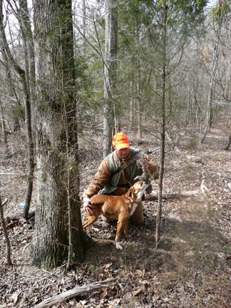 Hunting squirrels with a dog is productive and a fine way to get a youngster started in hunting.