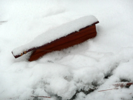 Earl Groves box call just after I shot the snow storm gobbler.