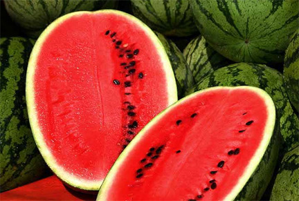 watermelon