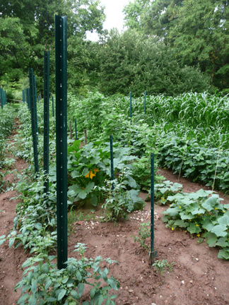 Gardening