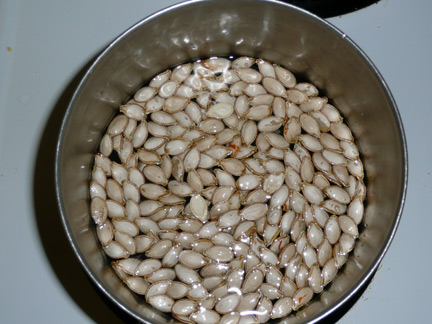 Pumpkin Seeds