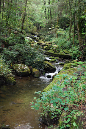 Trout Fishing