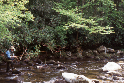 Trout Fishing