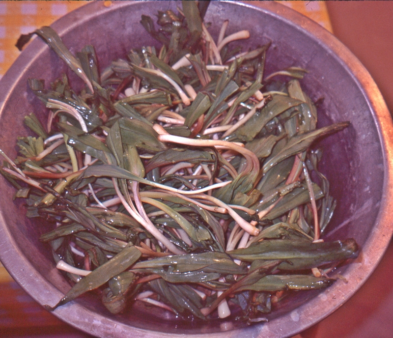 bowl of ramps