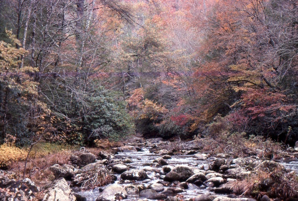 Fall Mountains