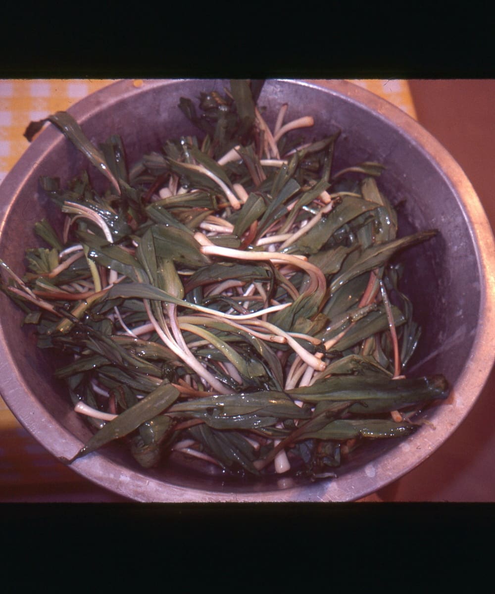 ramps in bowl