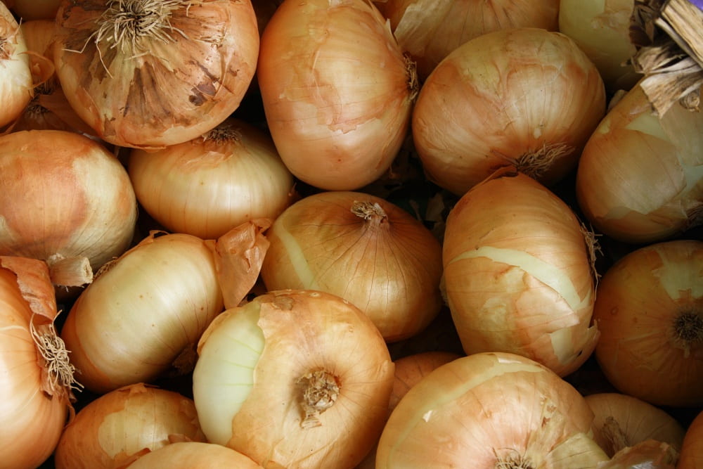pile of onions