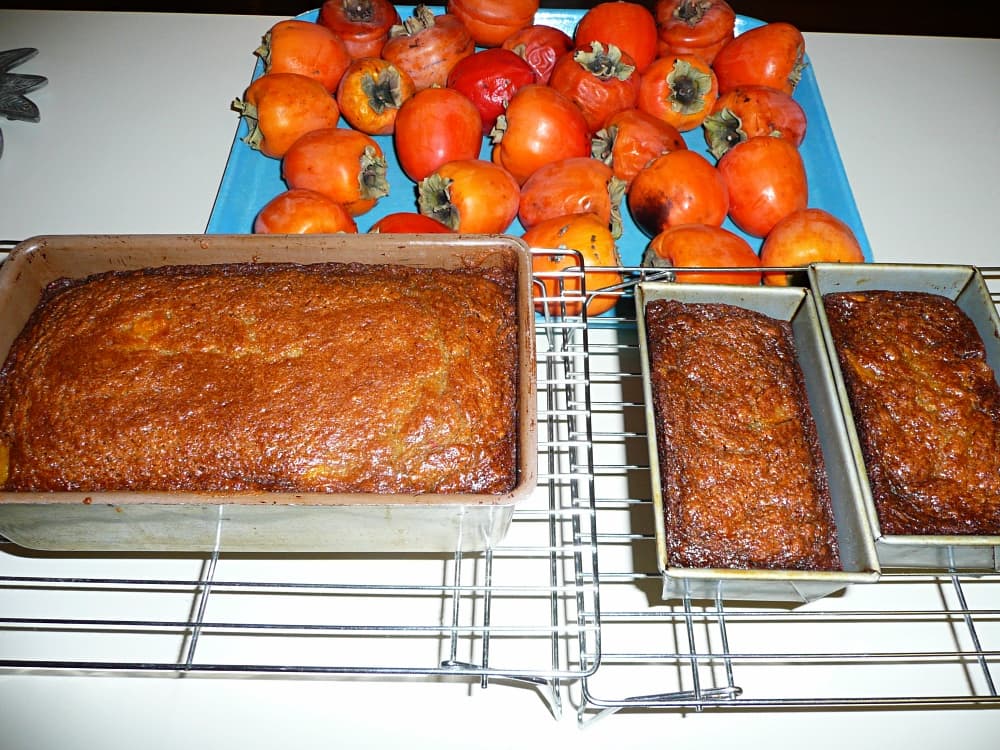 persimmon bread from the oven