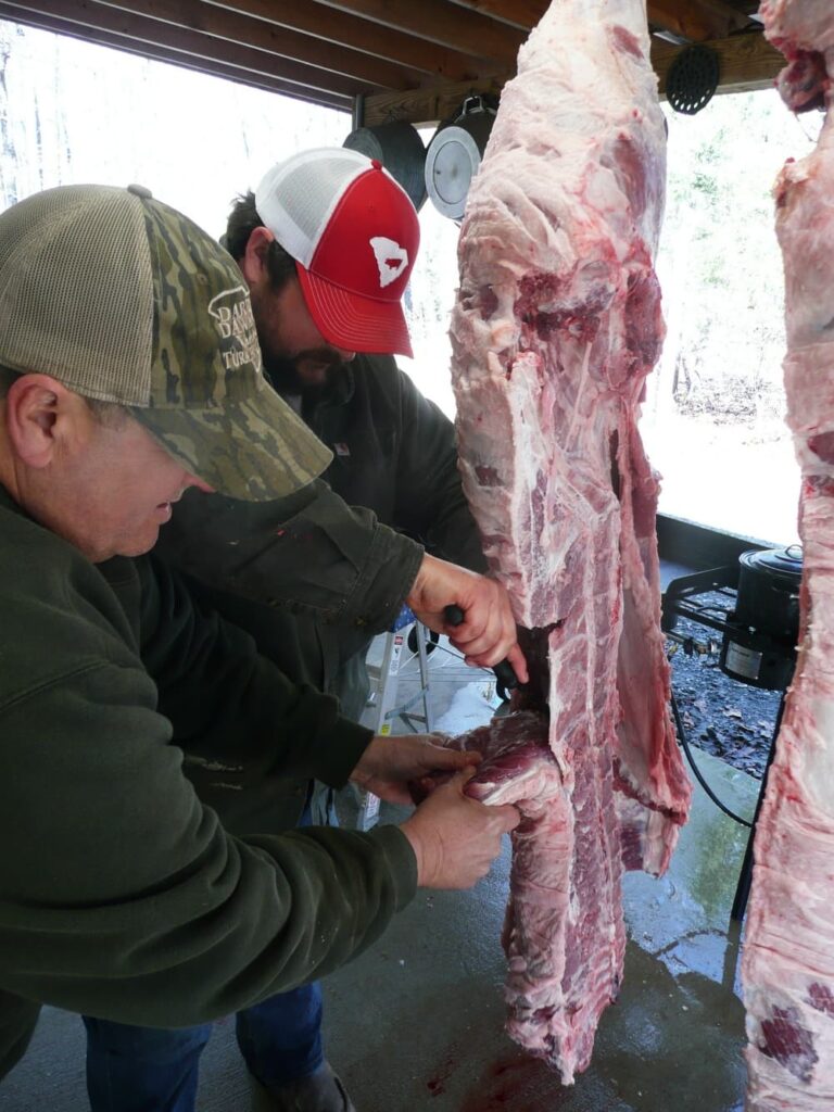 butchering hog
