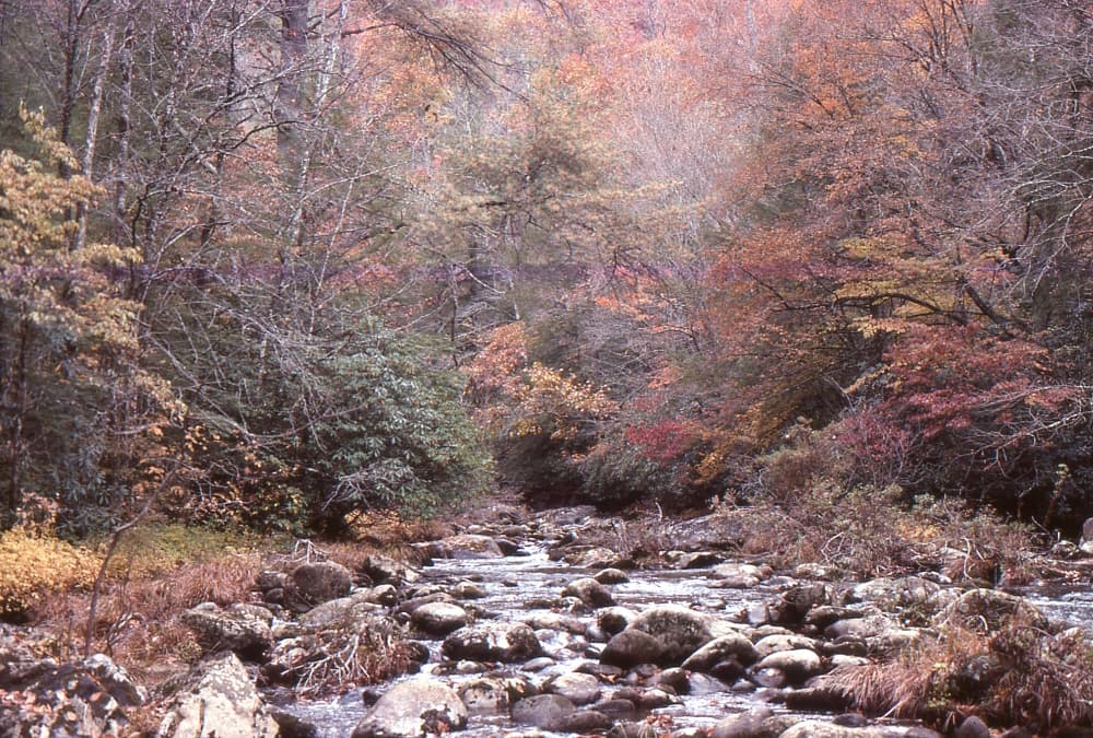 mountain creek in the fall