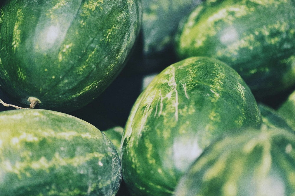 Pile of watermelons